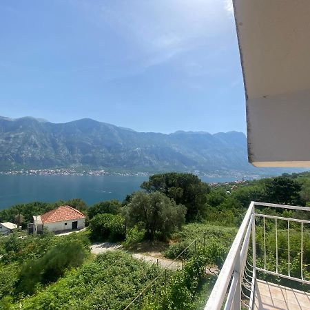 Apartments Djuricic Kotor Exterior photo